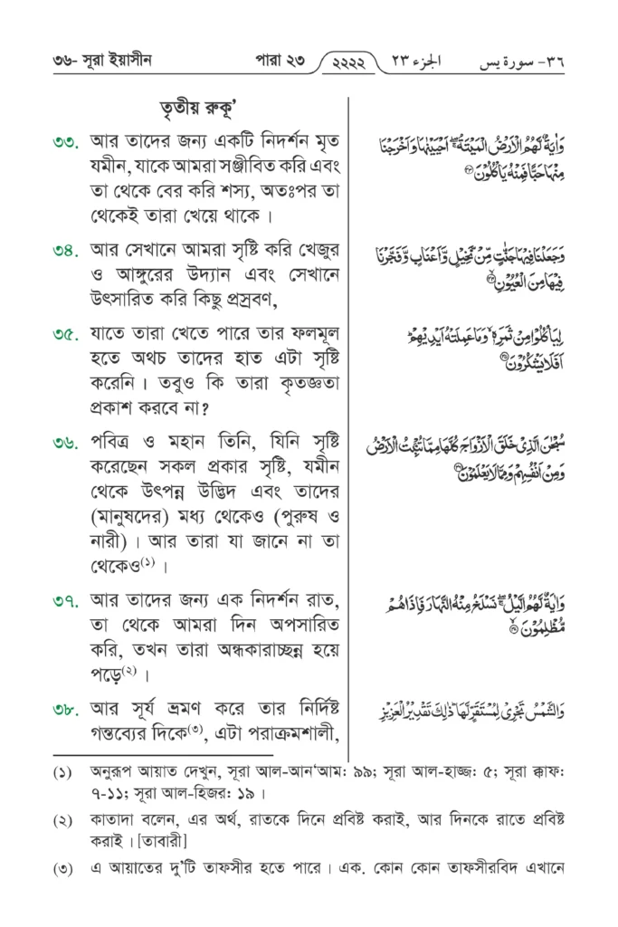 Surah Yaseen in Bengali | Yasin Surah Bengali Translation