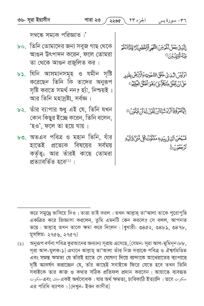 Surah Yaseen in Bengali | Yasin Surah Bengali Translation