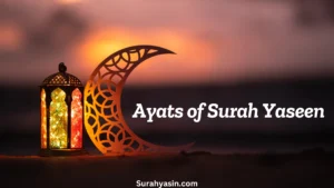 Ayats of surah yaseen