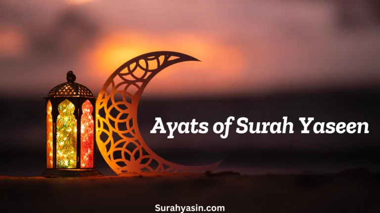 Ayats of surah yaseen